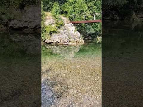 divlje plaze