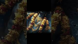bhgwan ji #bhgwanvishnu #love #vishanu #ganeshchaturthi #krishna #vishnupurana