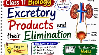 Class 11 Biology | Excretory Products and their Elimination | Handwritten Notes 