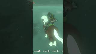 Farming Rupees | Zelda, TotK Shortorial