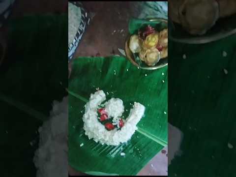 Happy kumara Purnima #kumarpurnima #happy #kumarapurnima #traditional #villagelife #village #puja