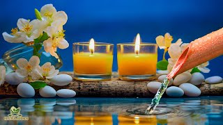 Relaxing Spa Music - Beautiful Peaceful, Calm Music, Sleep Piano Music, Stress Relief Music, Bamboo