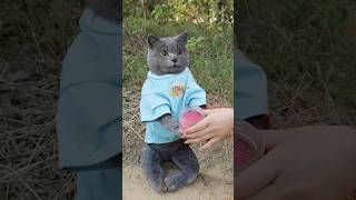 Too dirty! Slice Your Soap for Quick and Easy Cleanup😄🙌🧼 #funnycat #camping #outdoors #catmemes