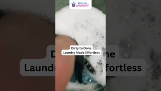 Fresh, Clean, On Time – Bulk Laundry Has You Covered!
