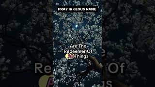 Pray in Jesus name #devotational #prayer #trendingshorts