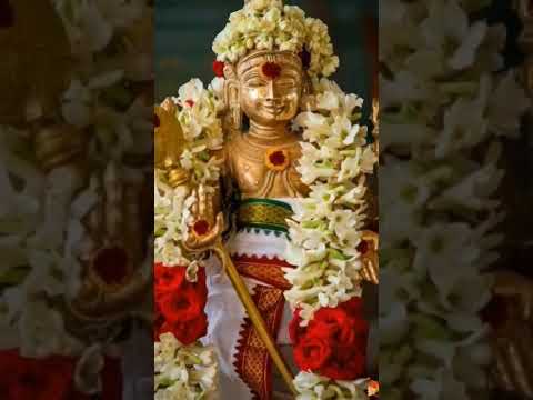 ஓம் முருகா ஓம் முருகா தமிழ் சார்ட்ஸ தமிழ் கடவுள் முருகன்
