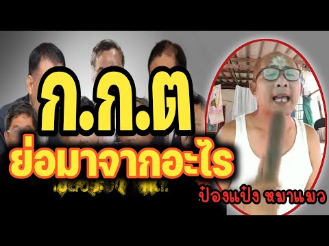 กกต ย่อมาจากอะไร By ป๋องแป๋ง หมาแมว