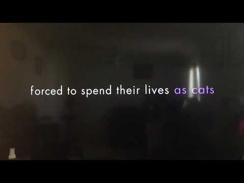 Hocus Pocus “Light a black candle today” commercial