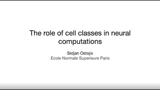 The role of sub-population structure in neural computations