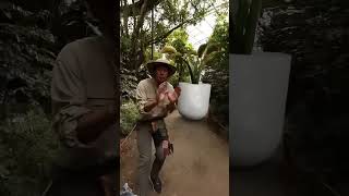 #brandonbaumtutorials #beamngdrive #automobile #basketball #beamng #art