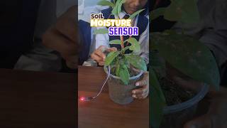 "Soil Moisture Sensor" The Future of gardening #techprojects #diy #schoolprojects #trendingshorts