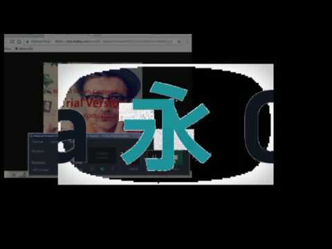 TYPOLABS 2017 *YUNG HURN - UNOFFICIAL SKRTING VIDEO*