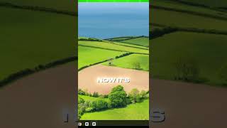 How to Transfer files from Android to PC Wirelessly (2026)