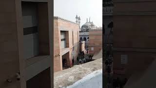 who do you support? comment#gyanwapimasjid #varanasi #india #shorts #like #comment