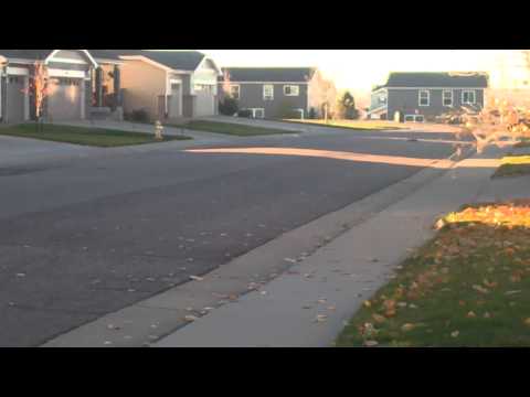 Losi Speed T Brushless Castle 3S Just Messing Around
