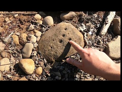 Awesome Anvil Stone #ancienthistory #pa #mudlarking