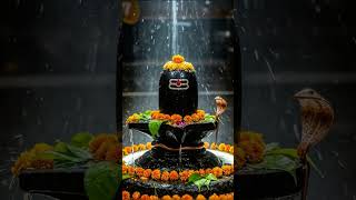 देवों का देव तुम शिव महादेव तुम 🔱🌿🕉️#devokadevmahadev #bhaktishort976 #bholenath #mahadevstatus