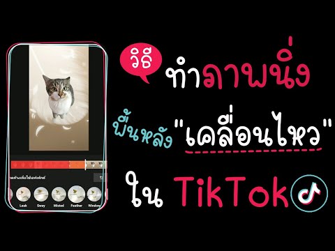 วิธีแต่งภาพนิ่ง ใส่พื้นหลังให้เคลื่อนไหว ใน TIKTok| แม่โบโชว์ของ