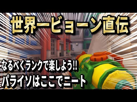 世界一のトールビョーン直伝!!!!パライソのニートポジ教えます(TOP500 TORB)