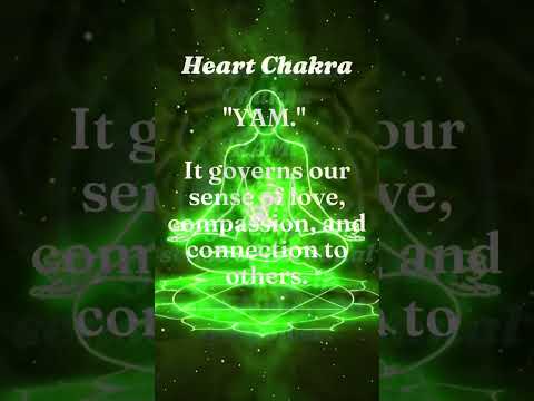 What are the 7 Chakras?