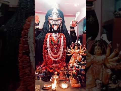জয় মা কালী 🙏🚩🌺✨