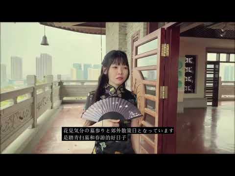 清明節の豚🐽と花🌼