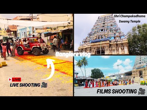 SHRI Champakadhama Swamy Temple | Bangalore Vlog Part 7 | 🎥🔥#LiveFilmShooting & #Night Out