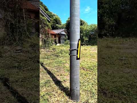 18 สิงหาคม ค.ศ. 2025