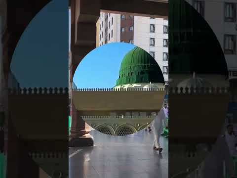 Quranic Wisdom: Lessons for Daily Life#QuranicWisdom#DailyLessonsFromQuran