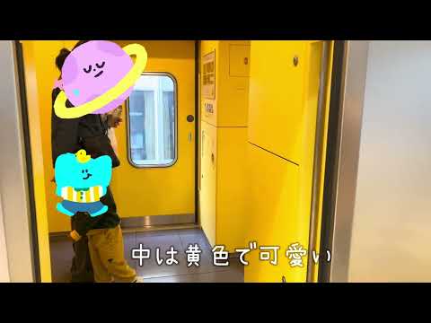 【おでかけ】電車　特急ラビューに乗ったよ♩