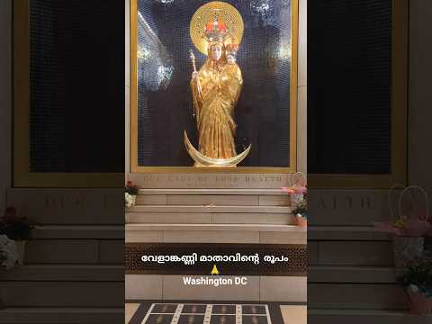 വേളാങ്കണ്ണി മാതാവിന്റെ രൂപം വാഷിംഗ്ടണിൽ Basilica of the National Shrine, Washington DC #velankanni