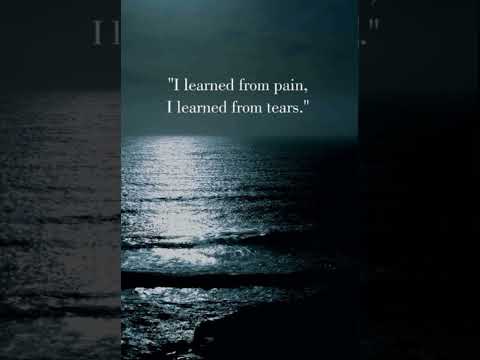 I Learned from Pain I Learned from Tears.#inspirationalthoughts#shorts  #status #motivationalquotes