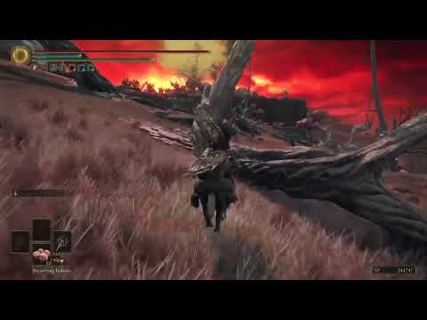 Elden Ring double Ghiza's wheel yet again