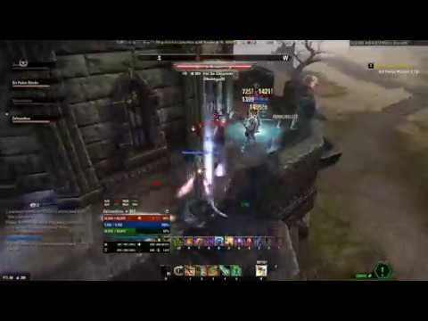 ESO PvP| True Adversary| StamSorc PvP| Summerset