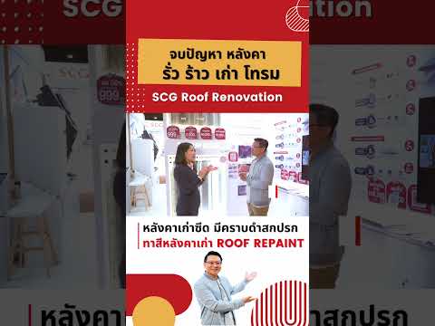 ทาสีหลังคาเก่า ROOF REPAINT หลังคาเก่าซีด มีคราบดำสกปรก