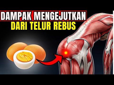 Manfaat Telur Setiap Hari 🥚💪: Kesehatan Jantung, Otak, dan Tubuh 🧠❤️
