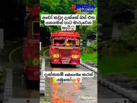 පාට මාරු වෙන ෆිනික්ස් රතු කෙල්ල ❤❤❤