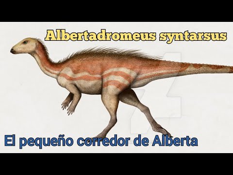 Todo sobre Albertadromeus syntarsus