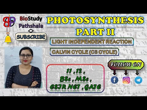 CALVIN CYCLE  || Plant Physiology || BioStudy Pathshala || Life Sciences