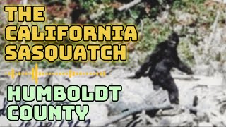 New Bigfoot Documentary 2025 | Modern and Historical Sasquatch Encounters | Humboldt County Evidence