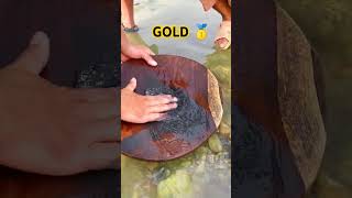 how to collect gold #goldmining #gold#goldmining #goldminingsimulator #goldminingexvater #ytshort