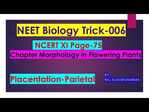 NEET Biology Trick -006  #Placentation #neet #neet2023 #neetbiology #neetricks