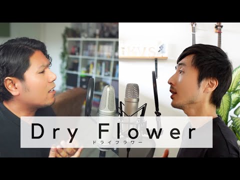 Dry flower - Soft Acoustic Duet Cover by Aizdean & Ko(Japanese Vocal Coach)