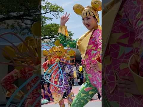 安定の美しさです！ #ハモカラ #ハーモニーインカラー #ディズニー #ディズニーランド #ディズニーダンサー