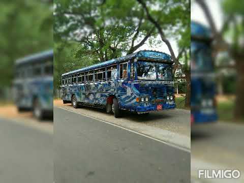 අැඹිලිපිටියේ සුර දූතිකාව