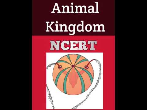 Animal kingdom NECRT #tricks #neettrickstolearn #ytshorts #shortvideo