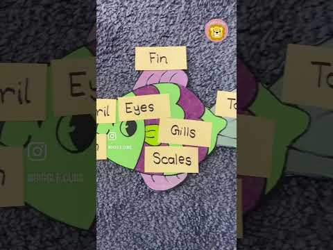 Parts of a fish #earlyliteracy #kidslearning #kidseducation #educationalvideo #forkids #science #diy