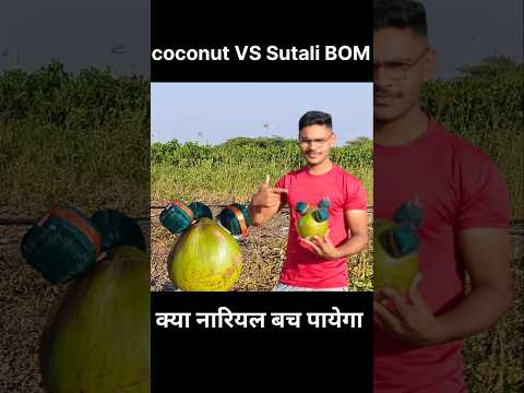 Diwali experiment #diwali