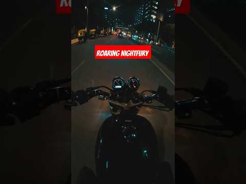 Royal Enfield Interceptor 865cc The roaring Nightfury  #royalenfield #royalenfieldinterceptor