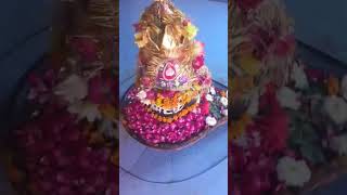 Jay bholenath mahashivratri special | Travel wings with Sunny| #shivratri #shivpuram #kunda #U.P.